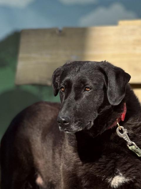 Паулина Б 159